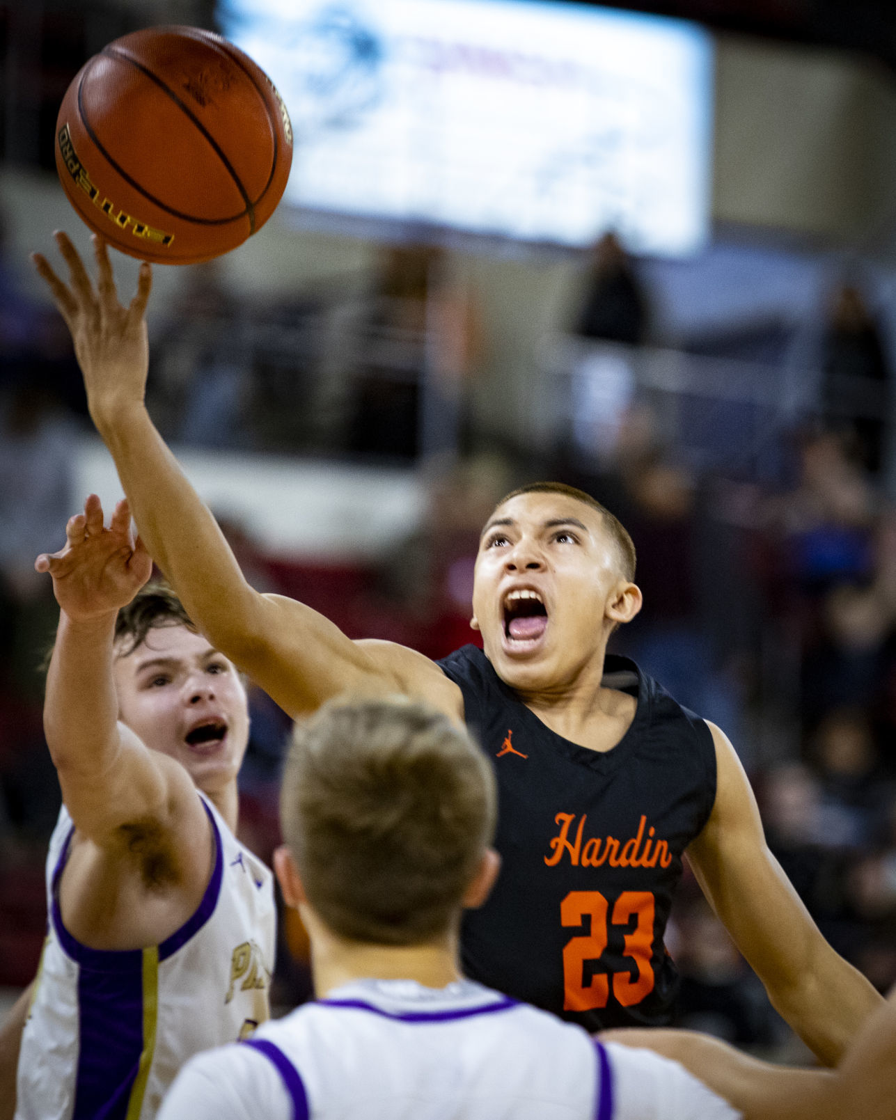 Hardin vs. Polson